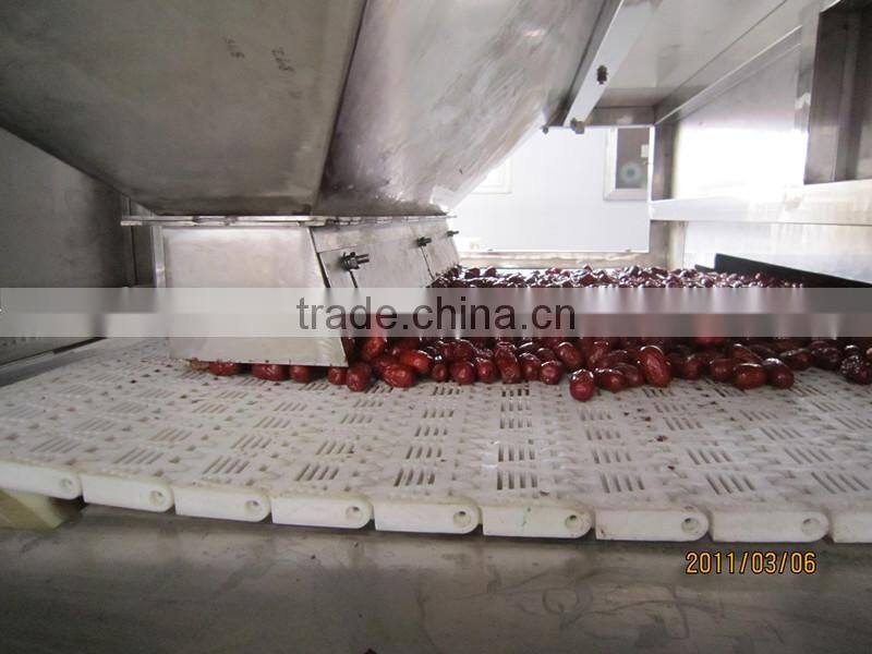 Industrial tunnel type microwave red dates dryer & sterilizer