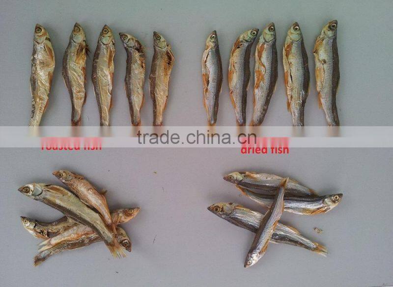 centrifugal dehydrating machine