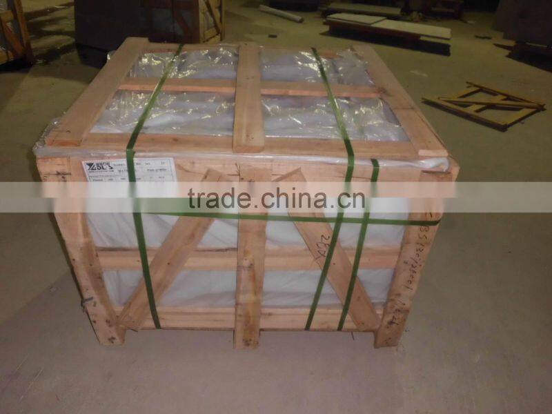 Chinese Natural Granite Tactile Tile for Blind People