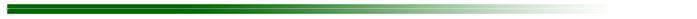 4*14cm Flu Flu Fletching Cresting Wood Arrows