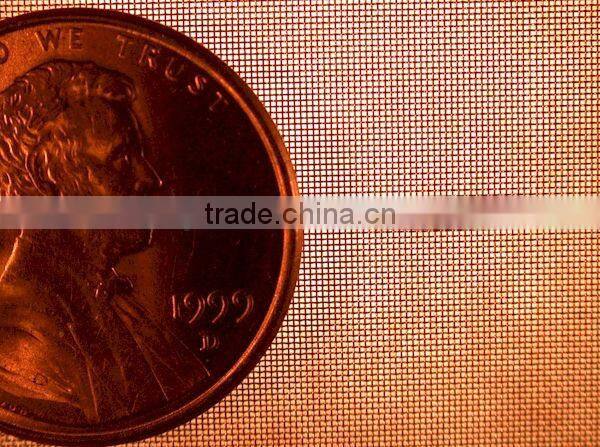Best selling!!!phosphor brass wire mesh