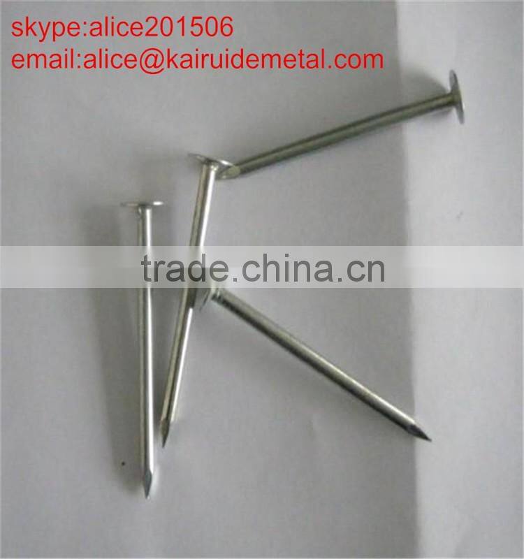 high qulaity low price stainless steelconcrete nail from concrete steell nail factory