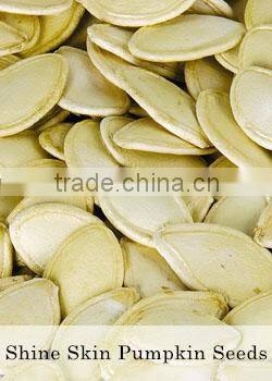 Edible Grade AA pumpkin seeds kernels