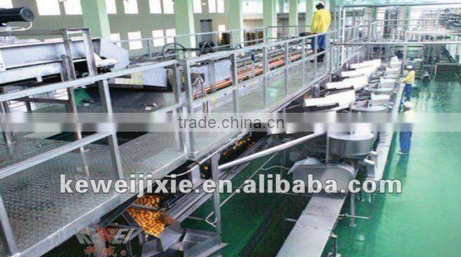 juice production line