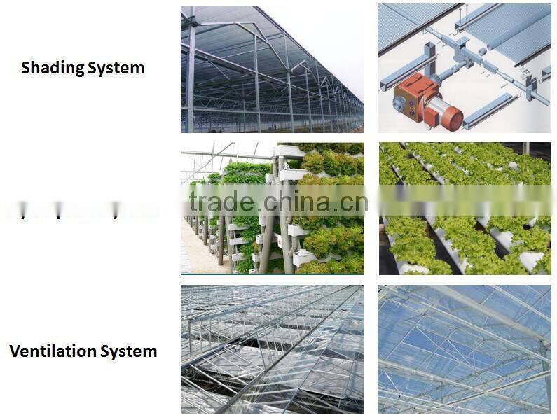 Best selling PC sheet/board agricultural greenhouse for sale
