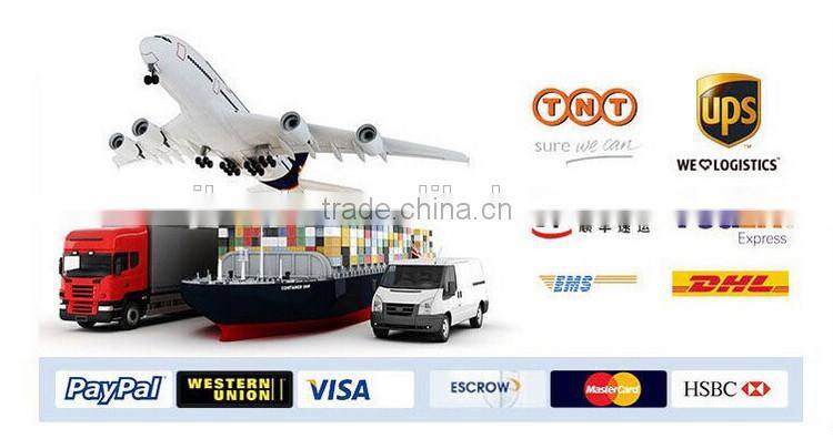 Colorful White/Blue/Green/335 Strip Light RGB Flexible Strips Light 300 SMD With CE ROHS