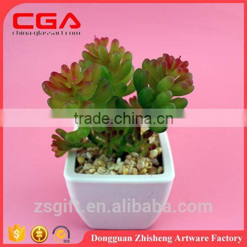 Artificial Artificial succulent plants tropical plants Plastic emulation succulent plant
