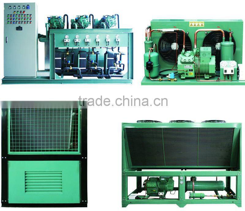 China supplier cold room refrigeration condensing unit