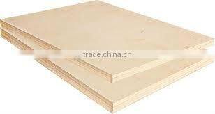 hot sale birch plywood from Linyi