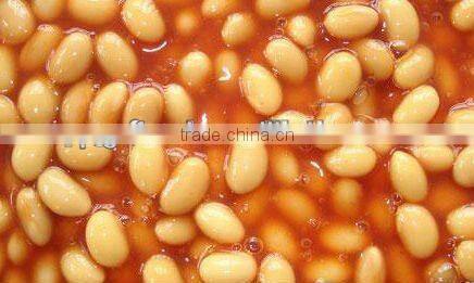 typs of canned food 425g canned soybean in tomato sauce