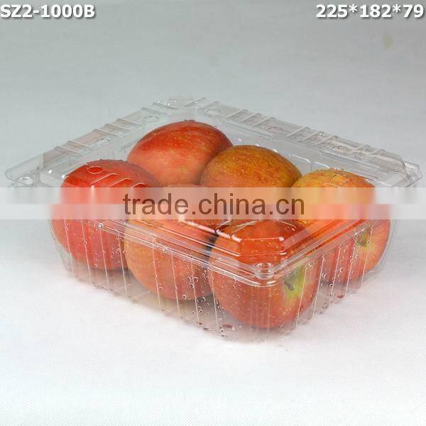 1000g Cherry disposable Plastic Fruit Container Supplier