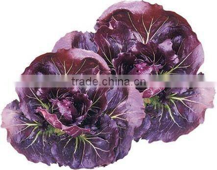 Chinese purple vegetable Seeds Health vegetables seeds for sale-Zi Ju