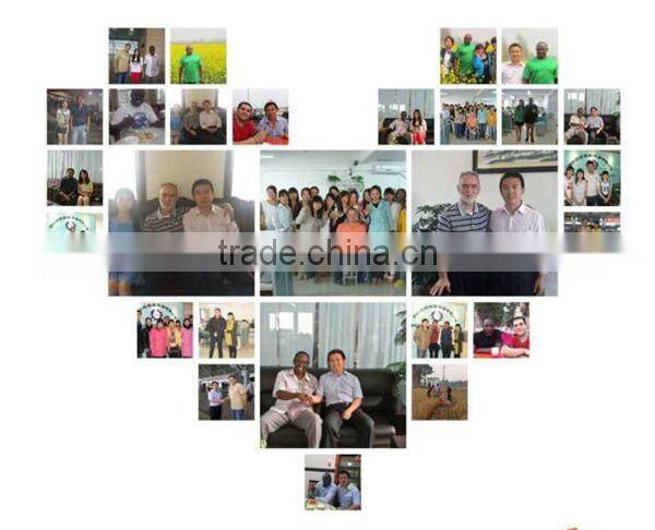 Case Sealing Machine