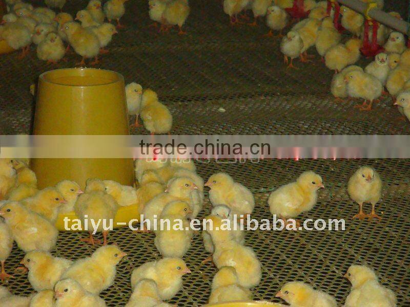 TAIYU poultry farm (egg laying birds,broilers,breeding chicken, day old chicken)