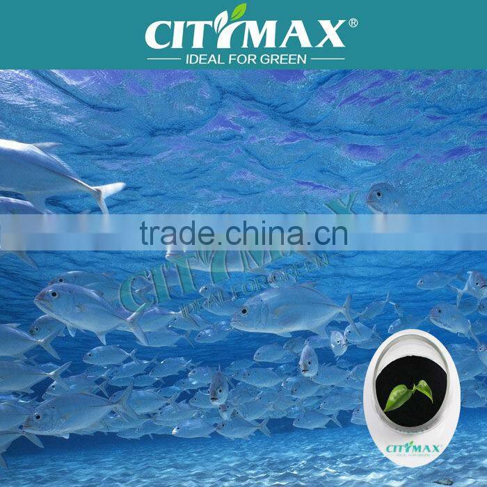 Seaweed Extract Bio fertilizer Plant