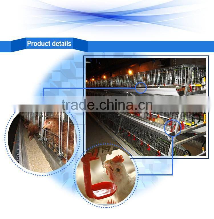 Hot !!! used poultry battery cages for sale