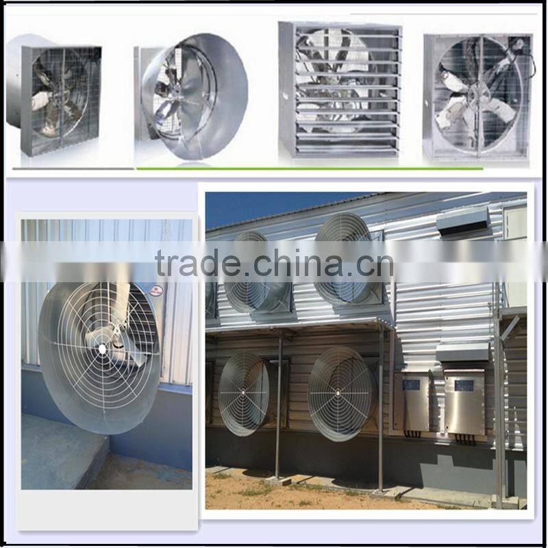 Industrial shed steel structure building design poultry farm shed chicken house for layers