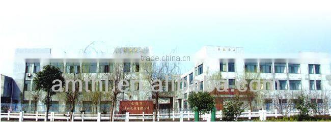 high power bldc motor, bldc motor for electric hub wheel, High speed electric motorcycle motor, brushless hub motor 5000w, AMTHI