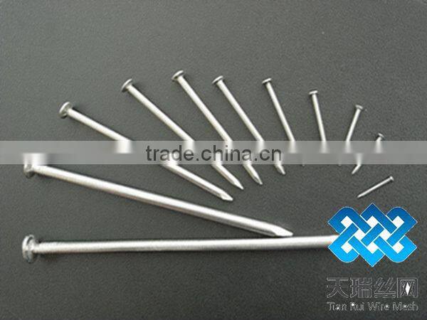 Low price polished/galvanized common nails(factory)