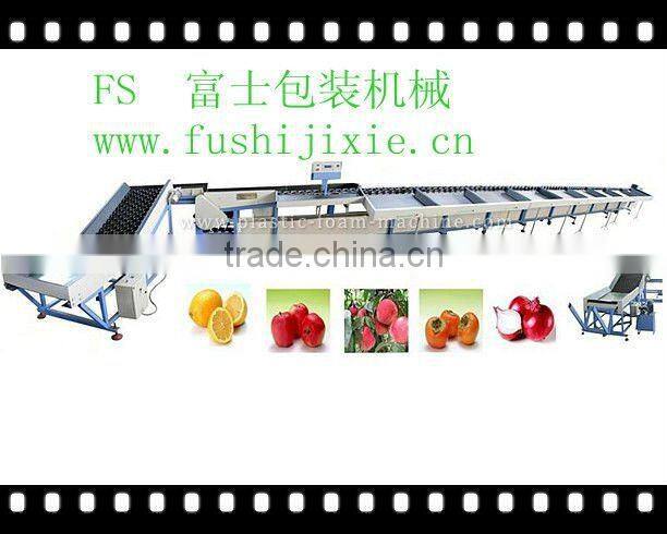 onion grading machine/sizing machine