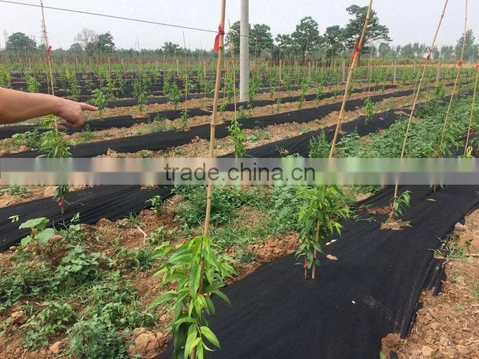 High Strength Garden Mat Erosion Control Plant Covers for Winter