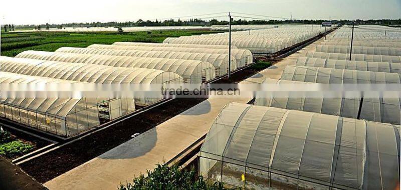 Factory Price Plastic Angricultural Greenhouses For Sale
