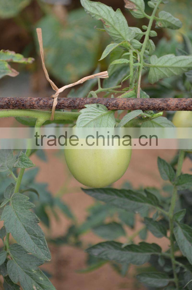 Kraft Paper Twist Rope For Automatic Binding Tools