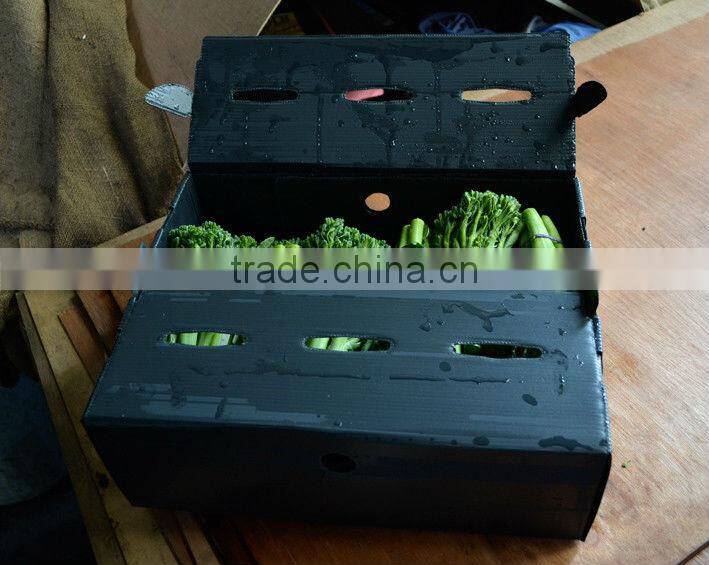 PP Layer Pad, Layer Pads, Plastic Layer Pads, corrugated plastic layer pad