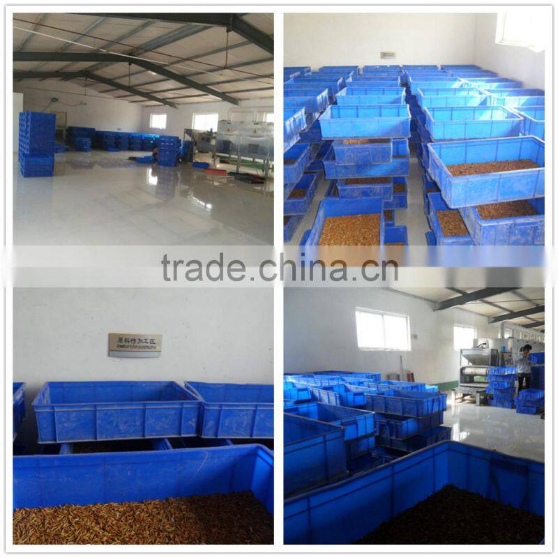 Natural animal feed and reptile food dried mealworm
