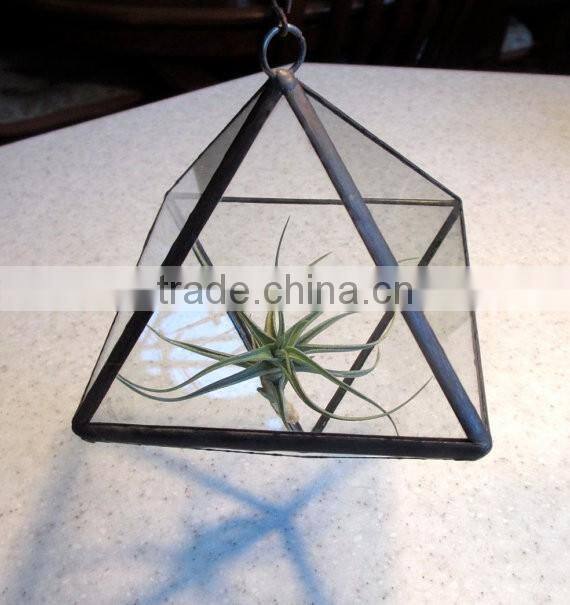 Hanging Glass Terrarium with chain hanger