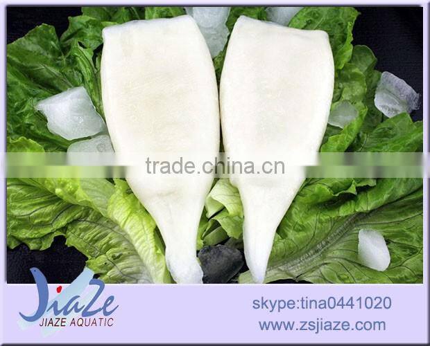 squid tube giant squid