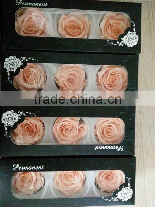 everlasting rose A grade 6 to 7 cm preserved rose from Yunnan