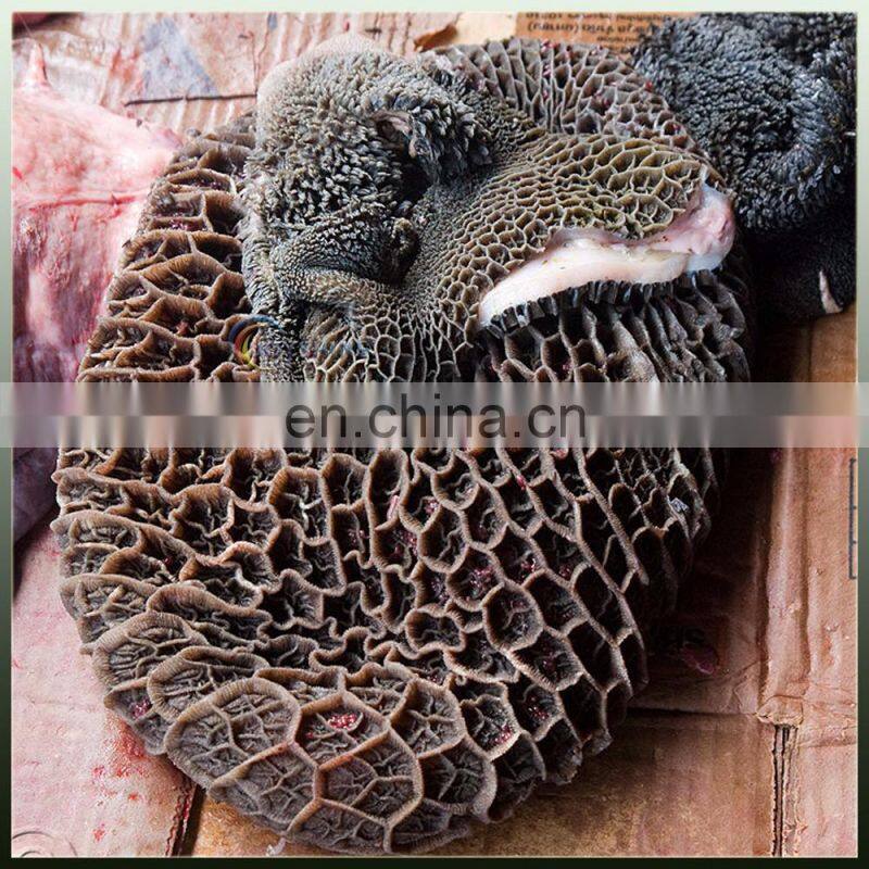 Germany Similar Type Cattle Tripe Omasum Cleaning Machine Prices