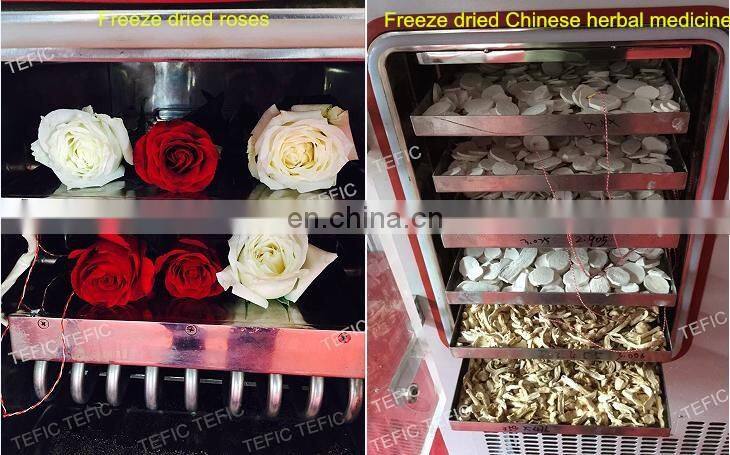 Small Vacuum Freeze Dryer for home and lab Use, Used Freeze Dryers for Sale