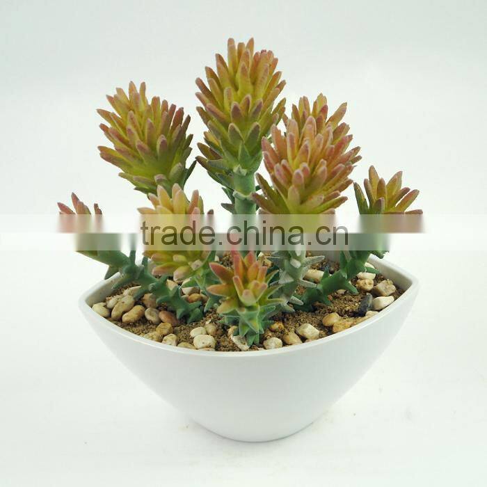 Factory Price Hot Sale Plastic Bonsai Home Artificial Cactus Plants