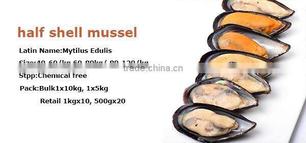 IQF iqf cooked mussel meat