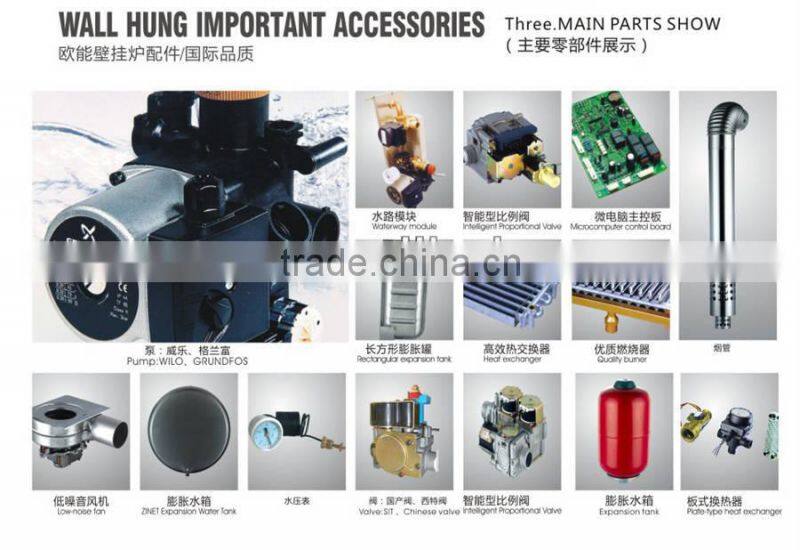 Wall Hung Gas Boiler For Russia Market