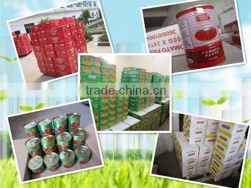 Tinned tomato paste with double concentrate brix 28-30%
