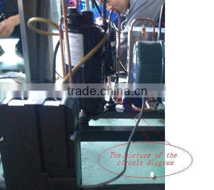 Hard gelato showcase(Ce approve)