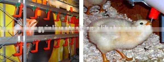 Hot selling Nipple drinking fountains with great price