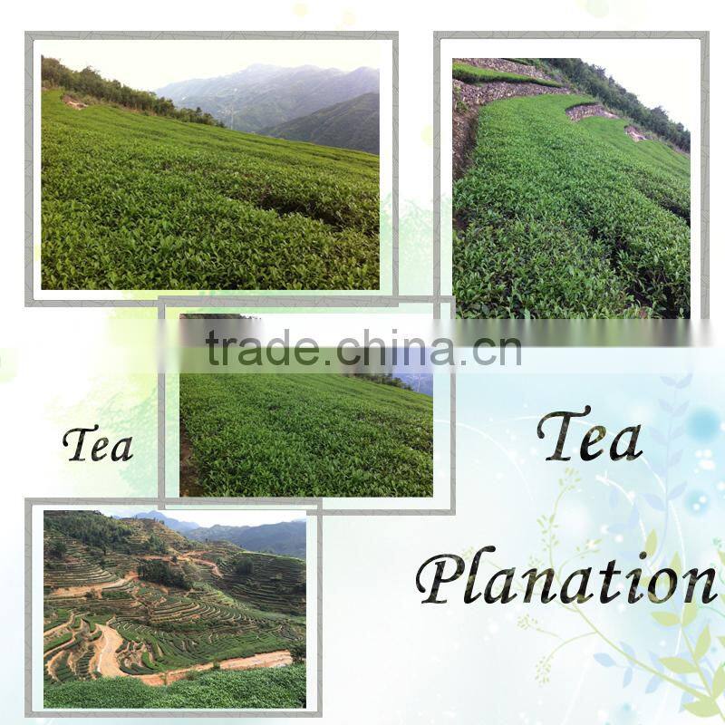 QS, Merieux Certification and Loose Tea Style Fujian Oolong Tea