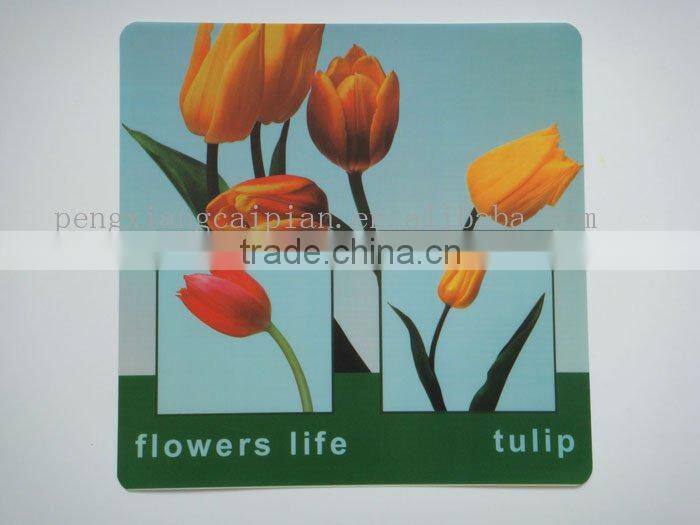 kid plastic play mat