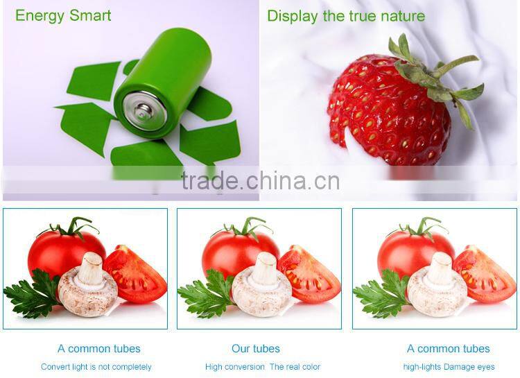 New design blue led tube T5 led tube