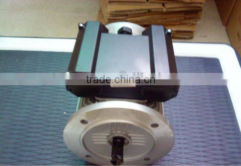 AC electric motor 1kw 127V 220v 50Hz 60Hz Manufacturer