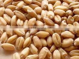 wheat flour milling machine