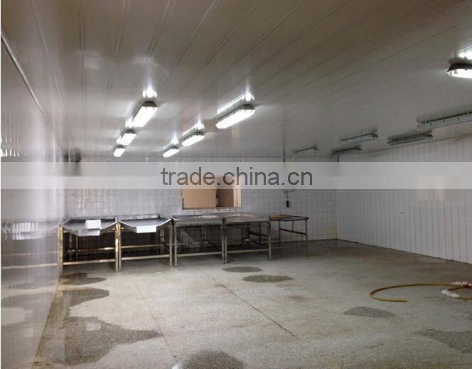 grade A frozen strawberries whole