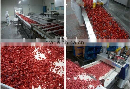 Frozen Strawberry best selling products