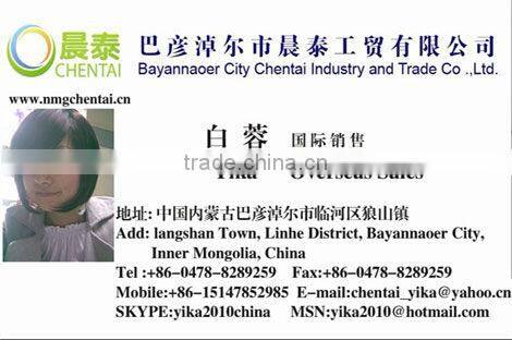 BULK Natural Common Dried Sunflower Seed