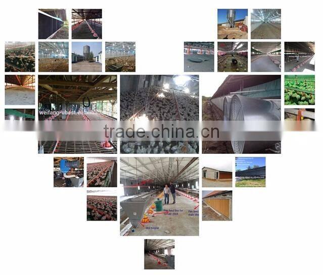 chicken feeders and drinkers galvanized for broiler