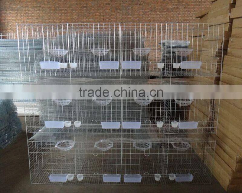 Breeding Pigeon Cage Factory Sale